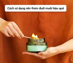 Thành phần nào trong nến thơm giúp đuổi muỗi?