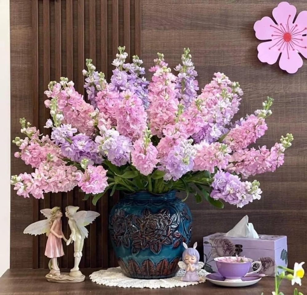 Ý nghĩa hoa phi yến